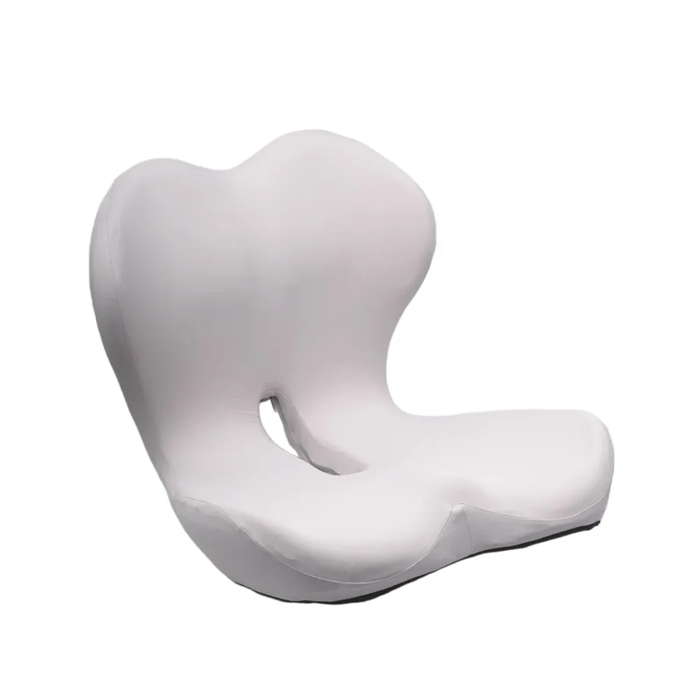 MAXILARI PLATHS white (1)